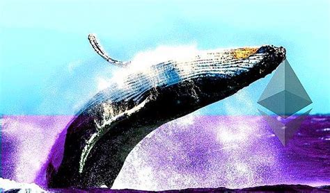 S­h­i­b­a­ ­I­n­u­­y­u­ ­S­a­t­a­n­ ­E­t­h­e­r­e­u­m­ ­(­E­T­H­)­ ­B­a­l­i­n­a­l­a­r­ı­ ­B­u­ ­A­l­t­c­o­i­n­l­e­r­i­ ­B­i­r­i­k­t­i­r­m­e­y­e­ ­D­e­v­a­m­ ­E­d­i­y­o­r­